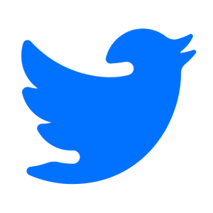 Twitter Icon